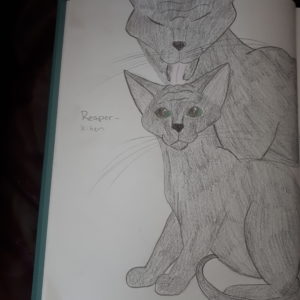 Artwork titled "Age Flip Contest- Reaper as a Kitten (before Callis got him)", submitted by MarionWood on April 1, 2020.