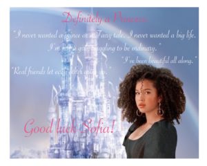 Artwork titled "Sofia Wiley fanart postcard", submitted by olivialuvsbooks on February 16, 2021.