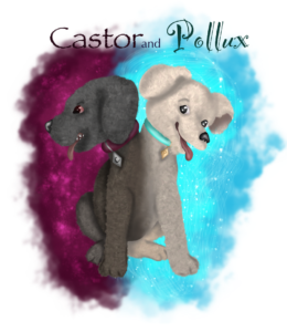 Artwork titled "Contest: age flip:   Castor and Pollux", submitted by KaliCoco on March 24, 2020.